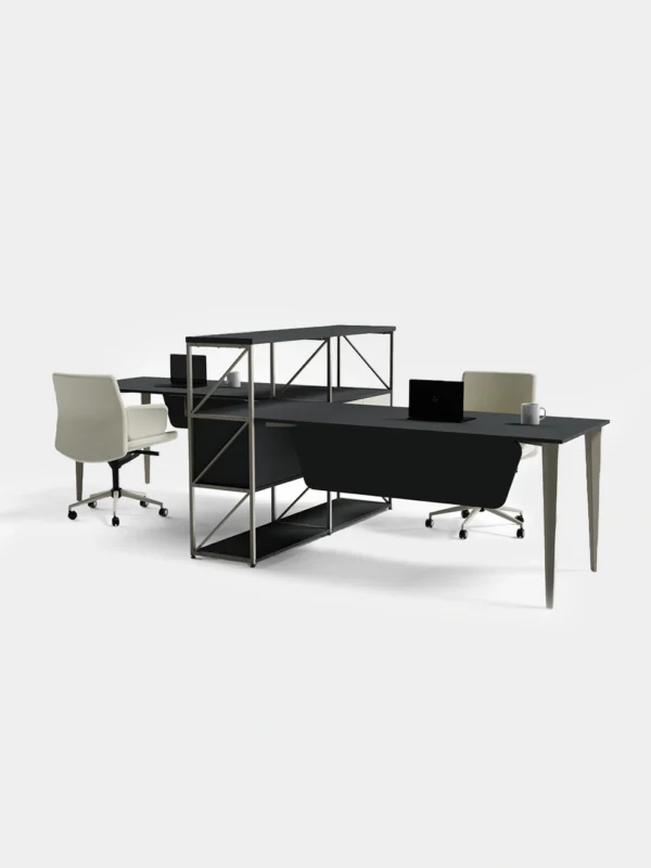 Esasstech Felira Workstation